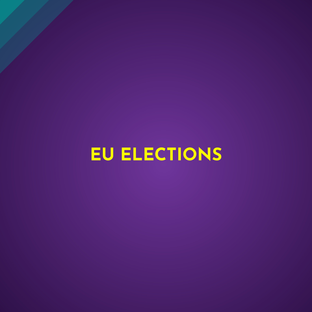 EU elections 2024 lesbian manifesto activism human rights
